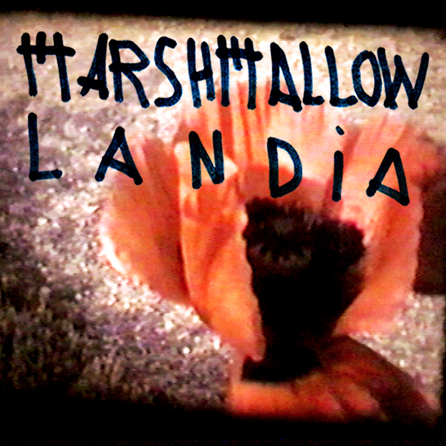 MARSHMALLOW LANDIA